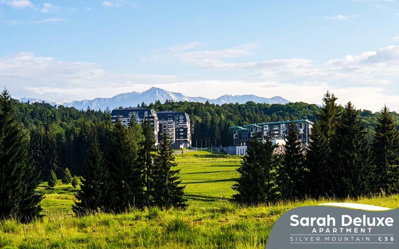 Sarah Deluxe Apartment In Silver Mountain 포이아나브라소프 외부 사진
